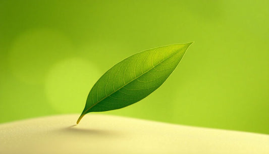 10 Benefits of Green Tea Extract in Skincare: Your Path to Radiant and Healthy Skin