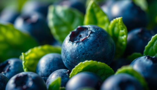 10 Benefits of Blueberry Extract: Antioxidant Powerhouse for Youthful Skin