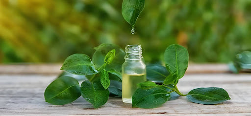 Your Clear Skin Journey Starts Here: Discover the Power of the Ultimate Acne Care Combo