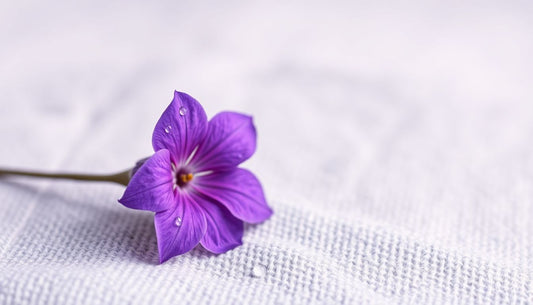 10 Benefits of Lavender Oil: Calming and Healing Properties for Skin